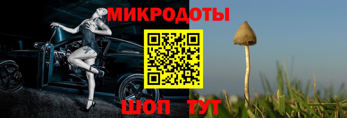 Люберцы  Псилоцибиновые грибы MAGIC MUSHROOMS  Вход с VPN 